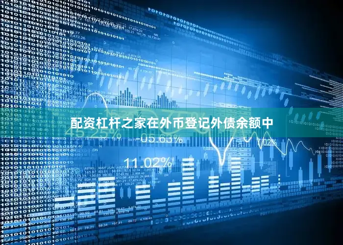 配资杠杆之家在外币登记外债余额中