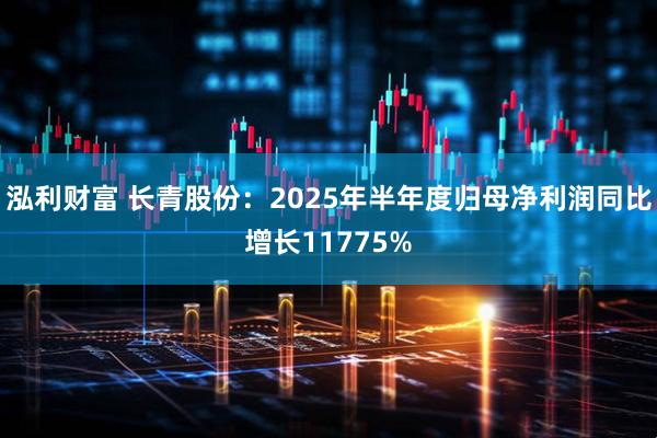 泓利财富 长青股份：2025年半年度归母净利润同比增长11775%