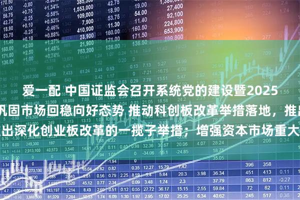 爱一配 中国证监会召开系统党的建设暨2025年年中工作会议 全力巩固市场回稳向好态势 推动科创板改革举措落地，推出深化创业板改革的一揽子举措；增强资本市场重大问题研究的权威性和影响力