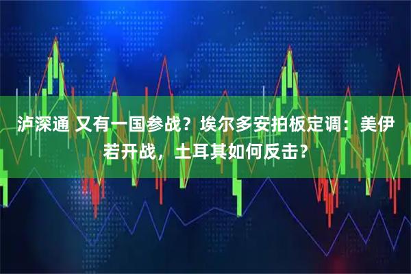 泸深通 又有一国参战？埃尔多安拍板定调：美伊若开战，土耳其如何反击？