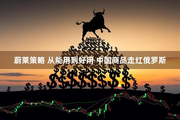 蔚莱策略 从能用到好用 中国商品走红俄罗斯